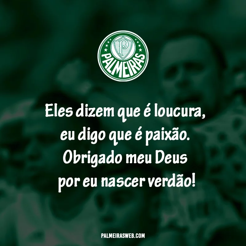 Frases do Palmeiras