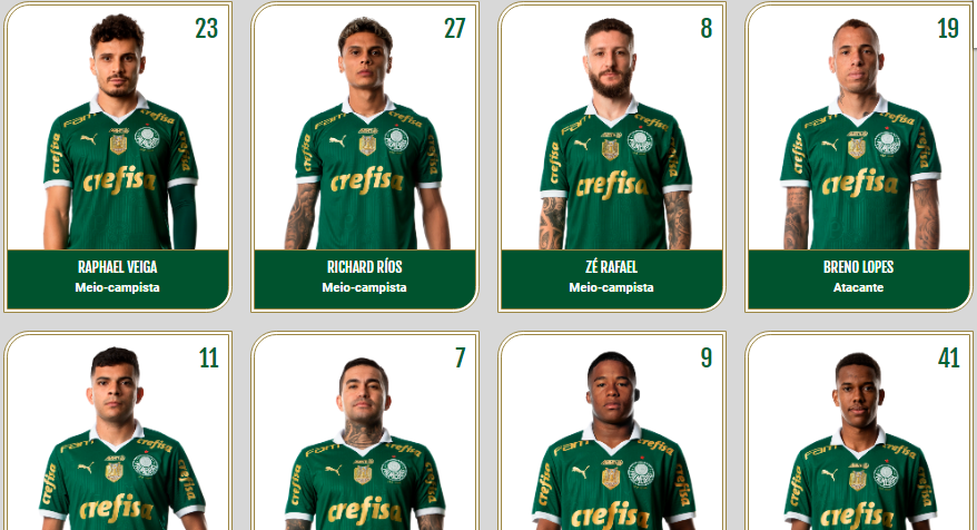 Jogadores do Palmeiras no atual elenco 