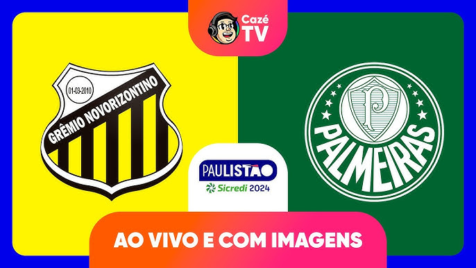 Assistir Novorizontino X Palmeiras Ao Vivo Paulist O