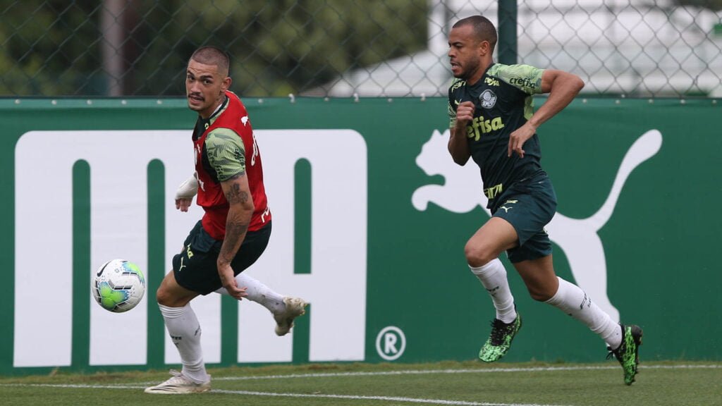 anibal palmeiras