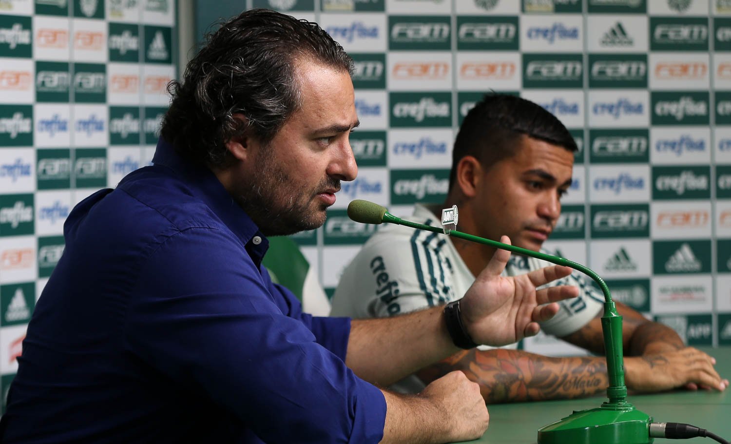 Dudu e Mattos no Palmeiras 