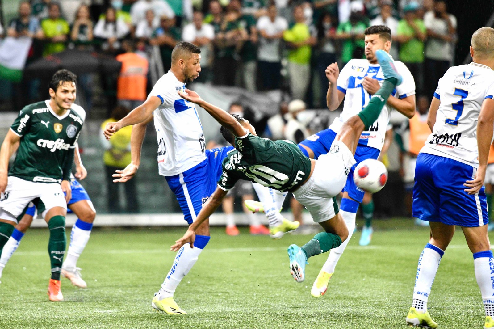 Assistir Água Santa x Palmeiras Ao Vivo pelo Paulistão 2025 6 Palmeiras x Água. Foto: Alexandre Battibugli/Ag. Paulistão
