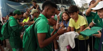 Estêvão. Foto: Cesar Greco/Palmeiras