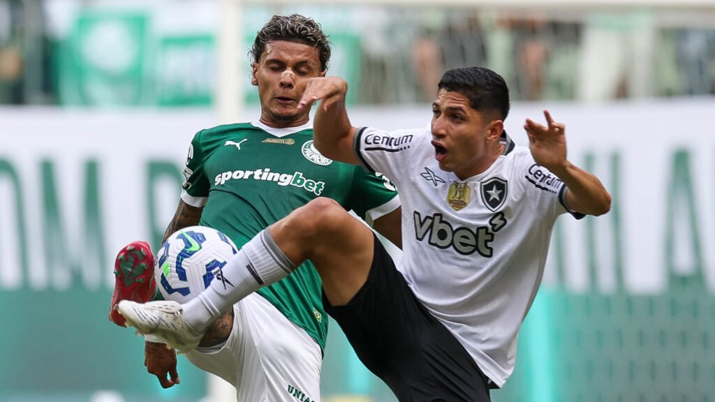 Assistir Palmeiras x Botafogo pelo Mundial de Clubes 2025 2 Palmeiras x Botafogo. Foto: Cesar Greco/Palmeiras