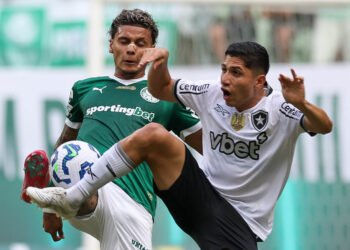 Palmeiras x Botafogo. Foto: Cesar Greco/Palmeiras
