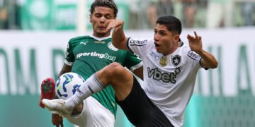 Palmeiras x Botafogo. Foto: Cesar Greco/Palmeiras