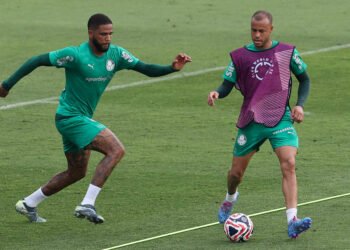 Situação de Mayke sofre reviravolta no Palmeiras e decisão agita torcida 4 Mayke. Foto: Cesar Greco/Palmeiras