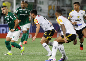 Palmeiras x Novorizontino. Foto: Cesar Greco