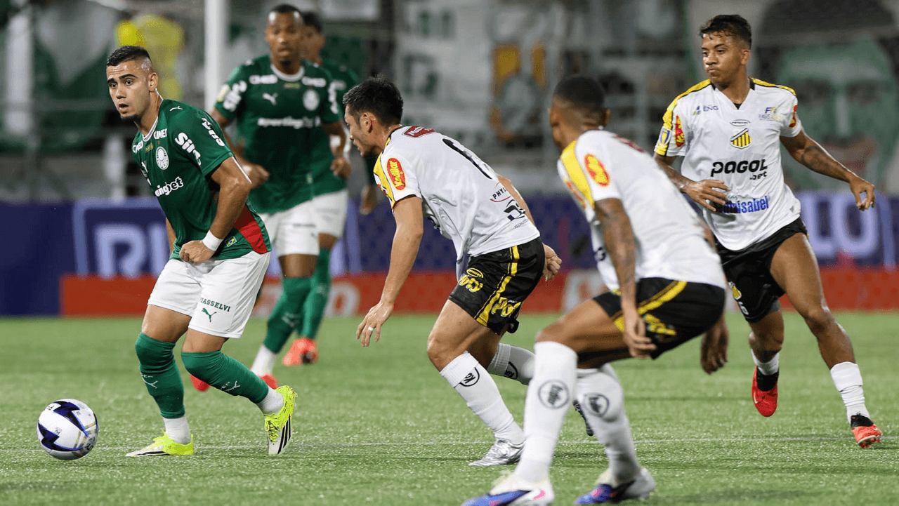 Palmeiras x Novorizontino. Foto: Cesar Greco