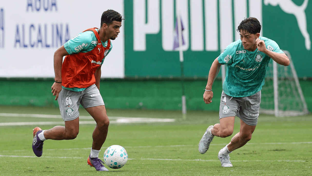 Foto: Cesar Greco/Palmeiras