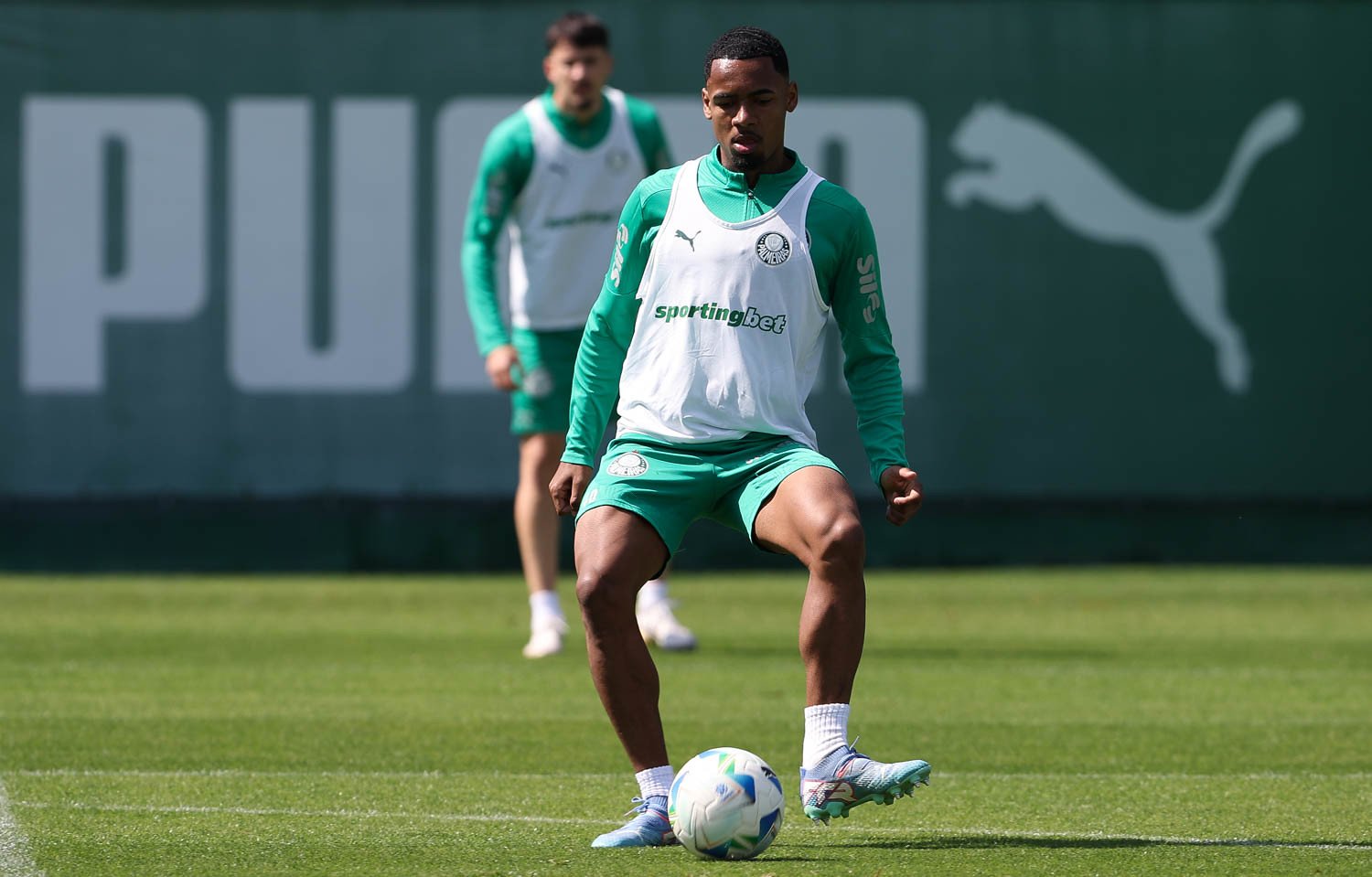 Foto: Cesar Greco/Palmeiras - Allan