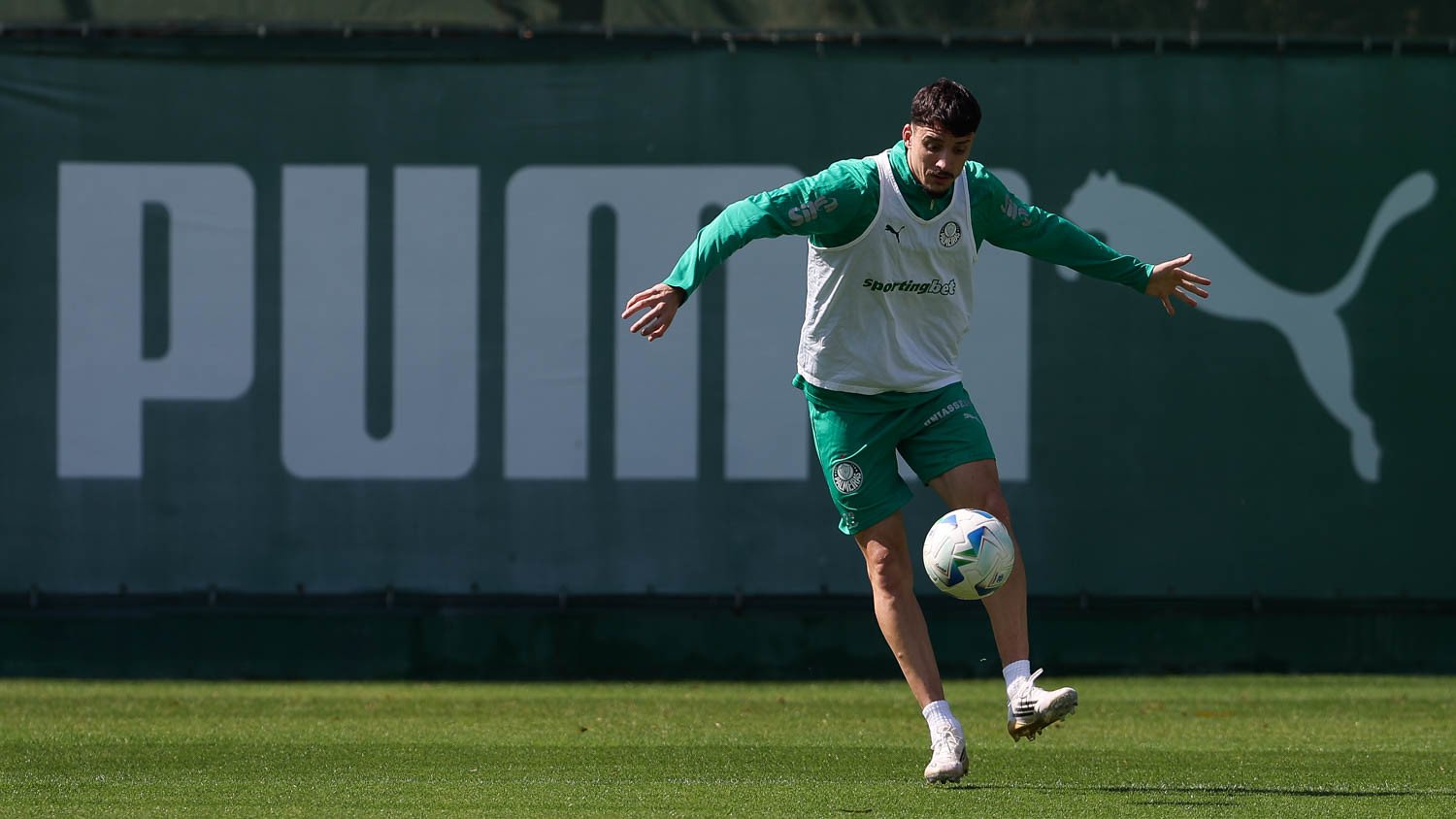 Piquerez, um dos principais destaques do Palmeiras
