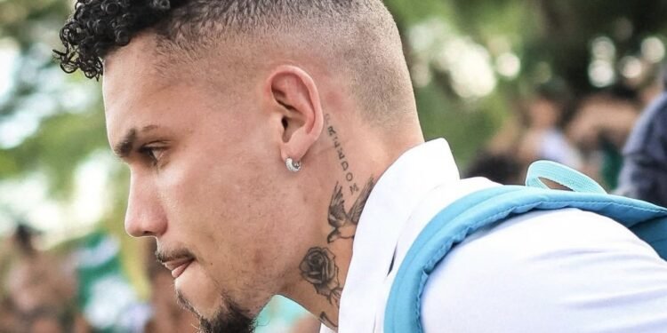 Paulinho. Foto: Donnay Medeiros/Palmeiras