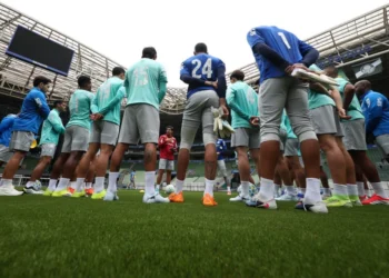 Foto: Cesar Greco/Palmeiras