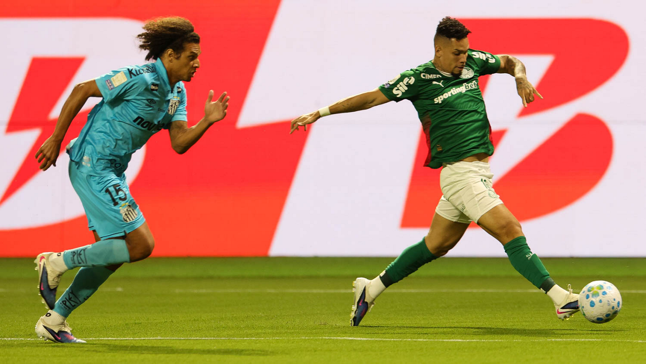 Palmeiras x Santos, pelo Campeonato Brasileiro. Foto: Cesar Greco