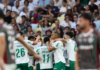 Abel recebe notícia que muda tudo antes da decisão do Palmeiras na Libertadores Fluminense x Palmeiras. Foto: Cesar Greco
