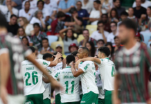 Abel recebe notícia que muda tudo antes da decisão do Palmeiras na Libertadores Fluminense x Palmeiras. Foto: Cesar Greco